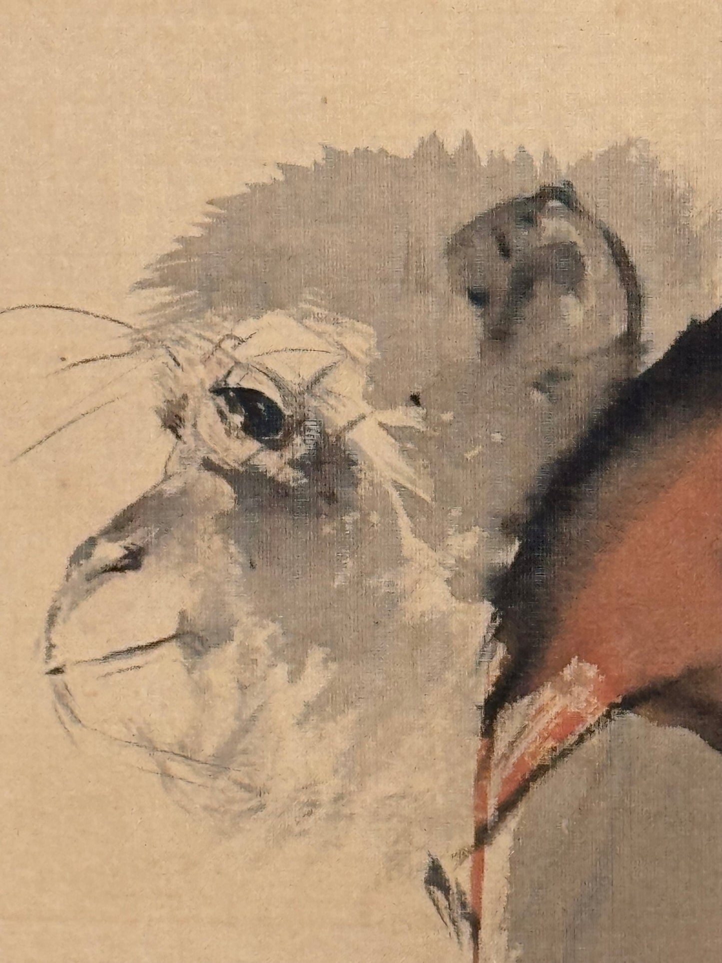 Affe | Suzuki Kason 鈴木華邨 | 1860-1919