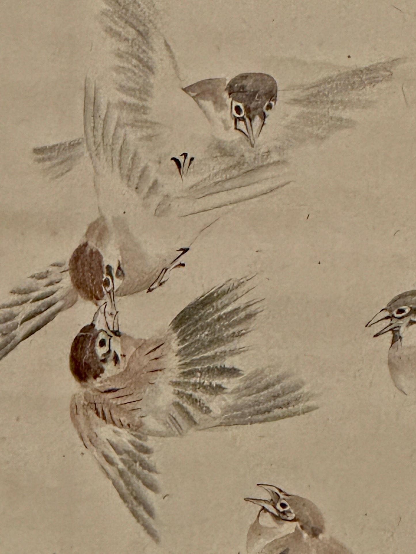 Spatzen im Bambus 省の竹 | Kishi Chikudō 岸竹堂 | 1826-1897 – Morikawa Sōbun | 1847 -1932 森川曽文 |