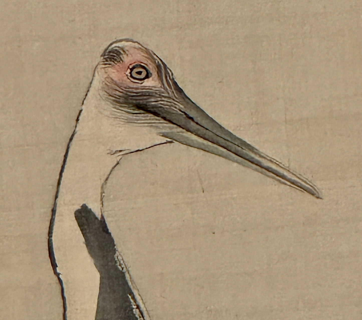 Zwei Kraniche | Mori Ippō 森一鳳 | 1798-1871