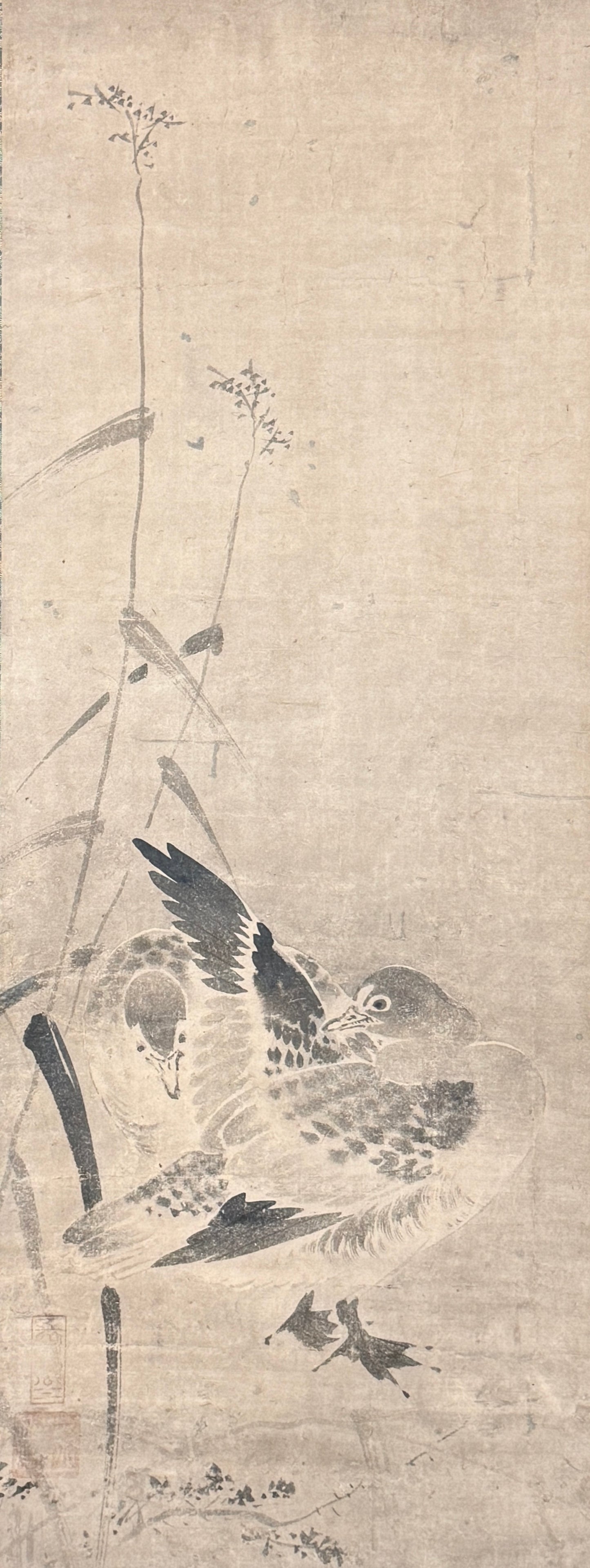 Wildgänse  |  anonym  |  16./17.Jh.