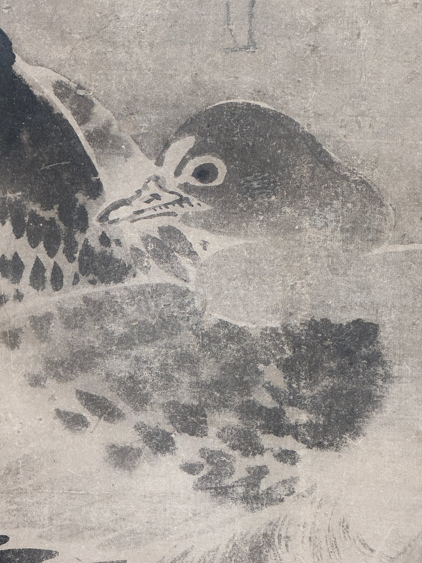 Wildgänse  |  anonym  |  16./17.Jh.