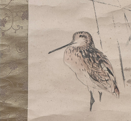 Schnepfe  |  Konoshima Ōkoku 木島桜谷  |  1877-1938