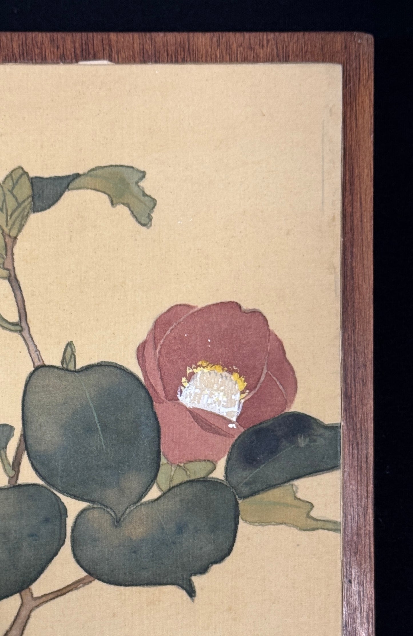 Kamelien | Yamanaka Shūhan 山中秋帆 | 1832-1892