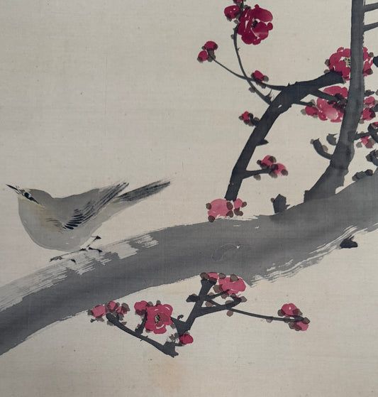 Nachtigall auf Pflaumenblüten 梅の鳥 | Moroboshi Seishō 諸星成章 | 1870-1943