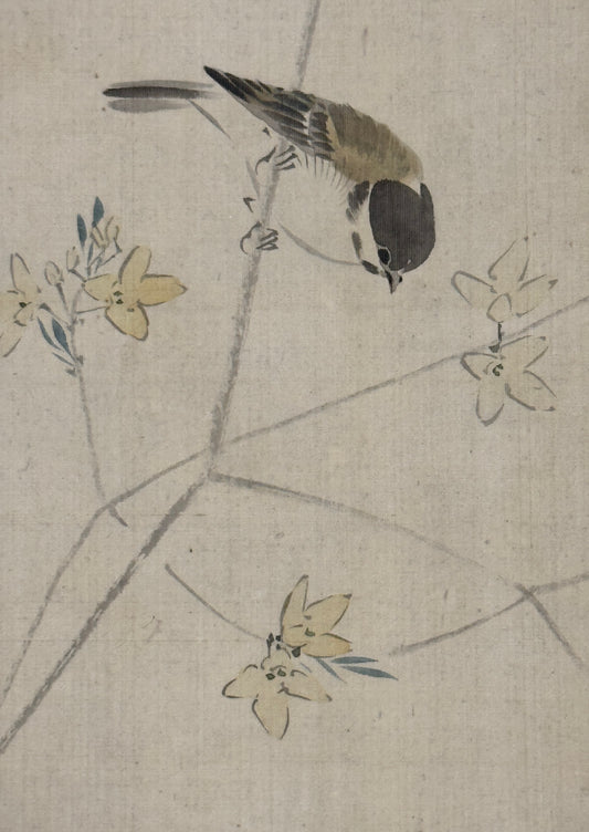 Meise auf Ginster | Tanaka Nikka 田中日華 | ?-1845