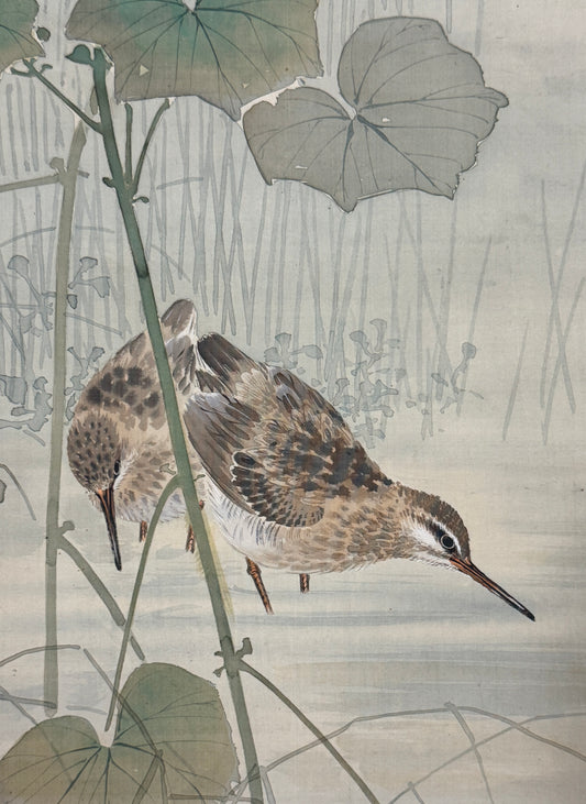 Schnepfen unter Hibiskus 鴫二羽 | Gotō Kōho 五島耕畝 | 1882-1958