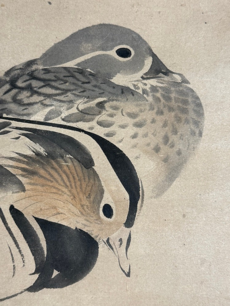 Mandarinentenpaar | Matsumura Keibun 松村景文 | 1779-1843