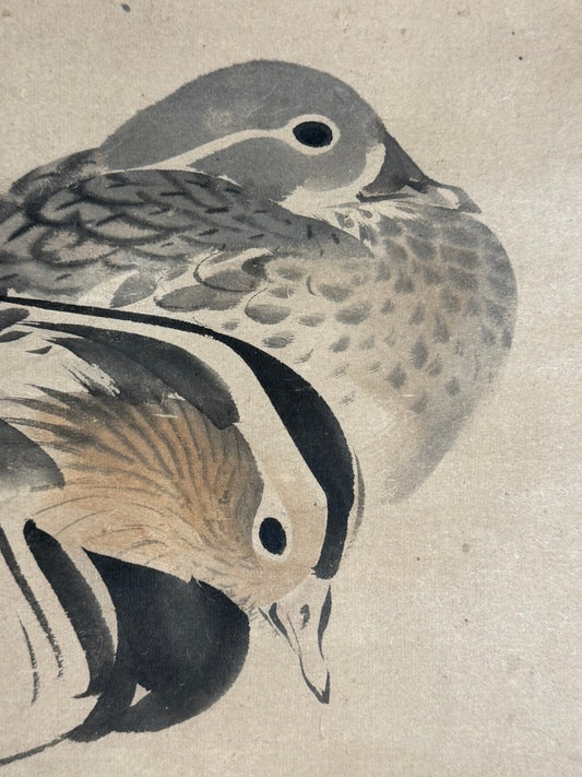 Pair of Mandarin Ducks | Matsumura Keibun 松村景文 | 1779-1843