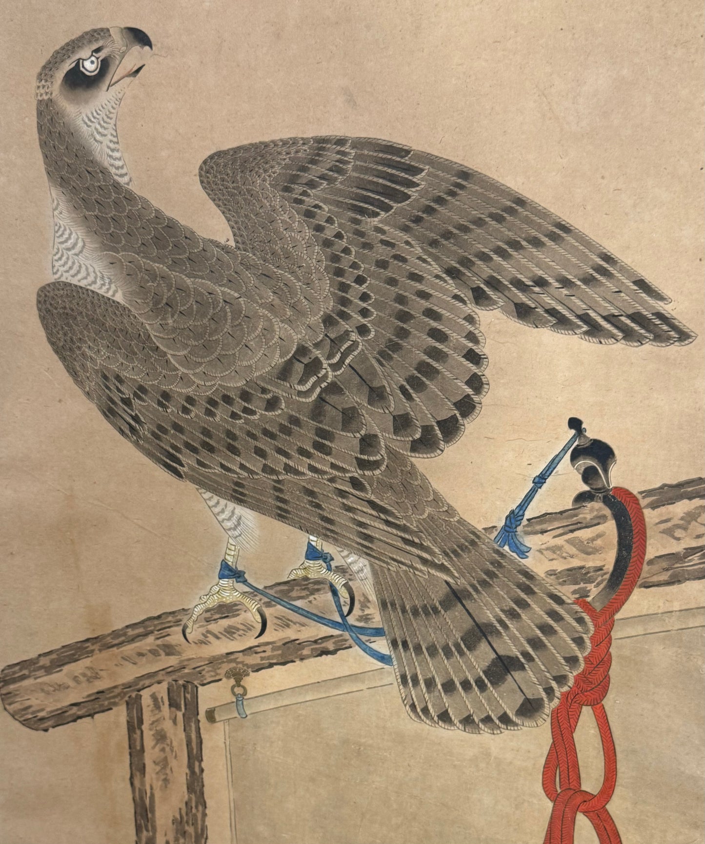 Falcon with red cord | anonymous不詳 | 19th century