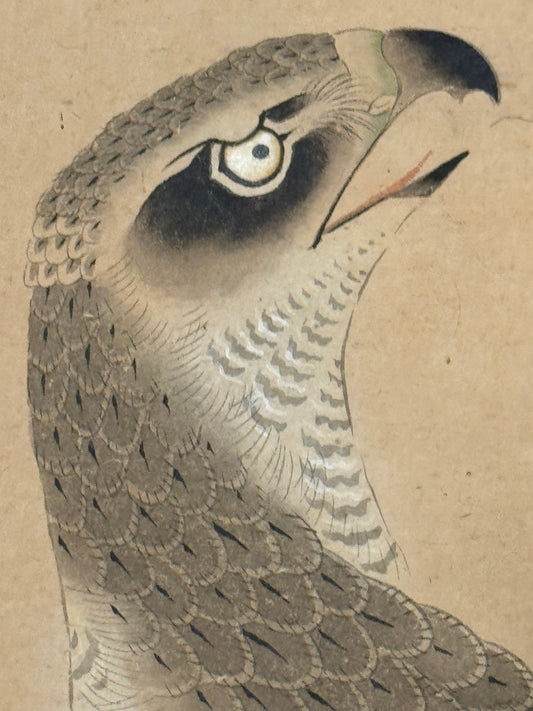 Falcon with red cord | anonymous不詳 | 19th century