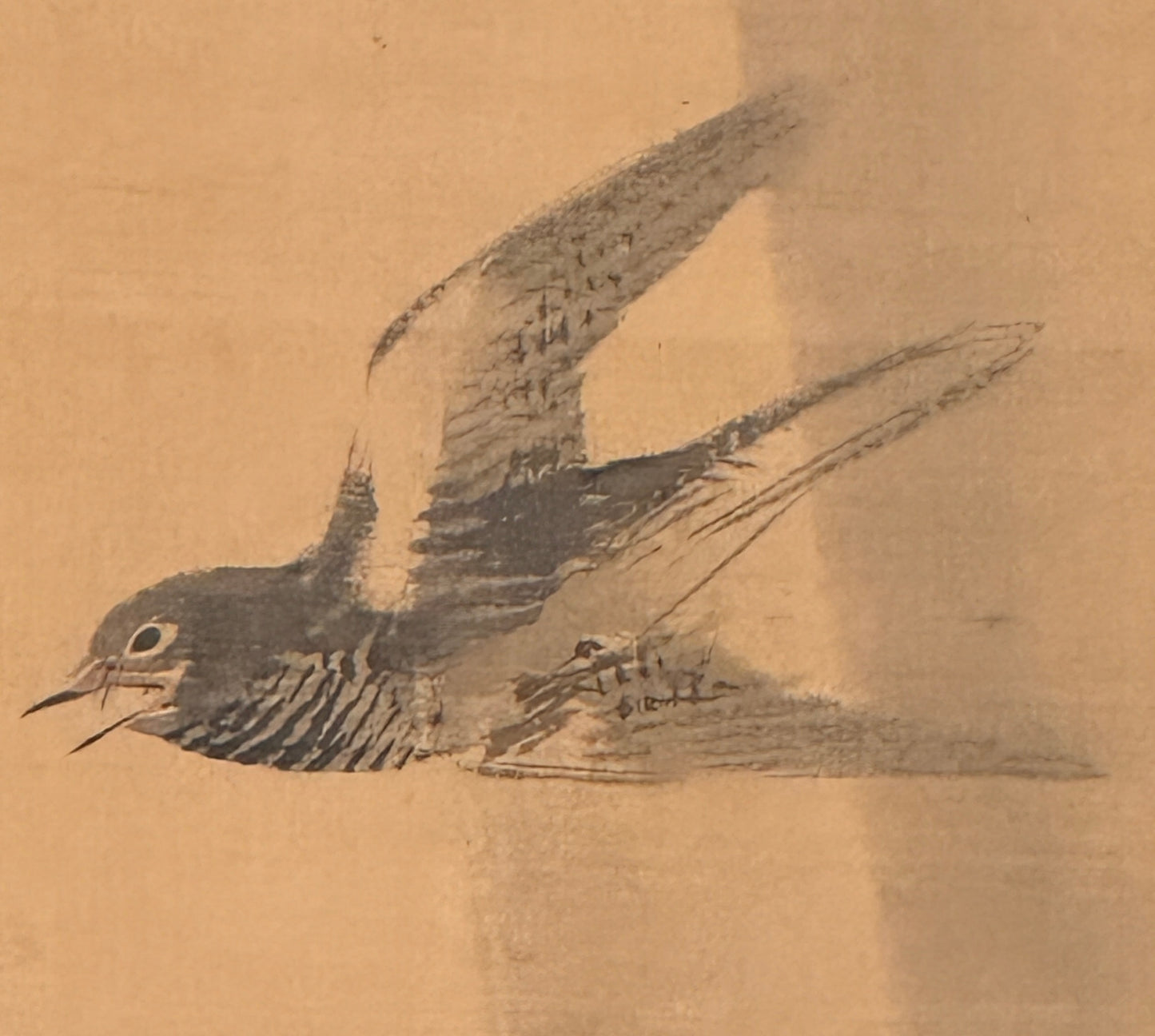 Kuckuck | Nishiyama Hōen 西山芳園 | 1804-1867