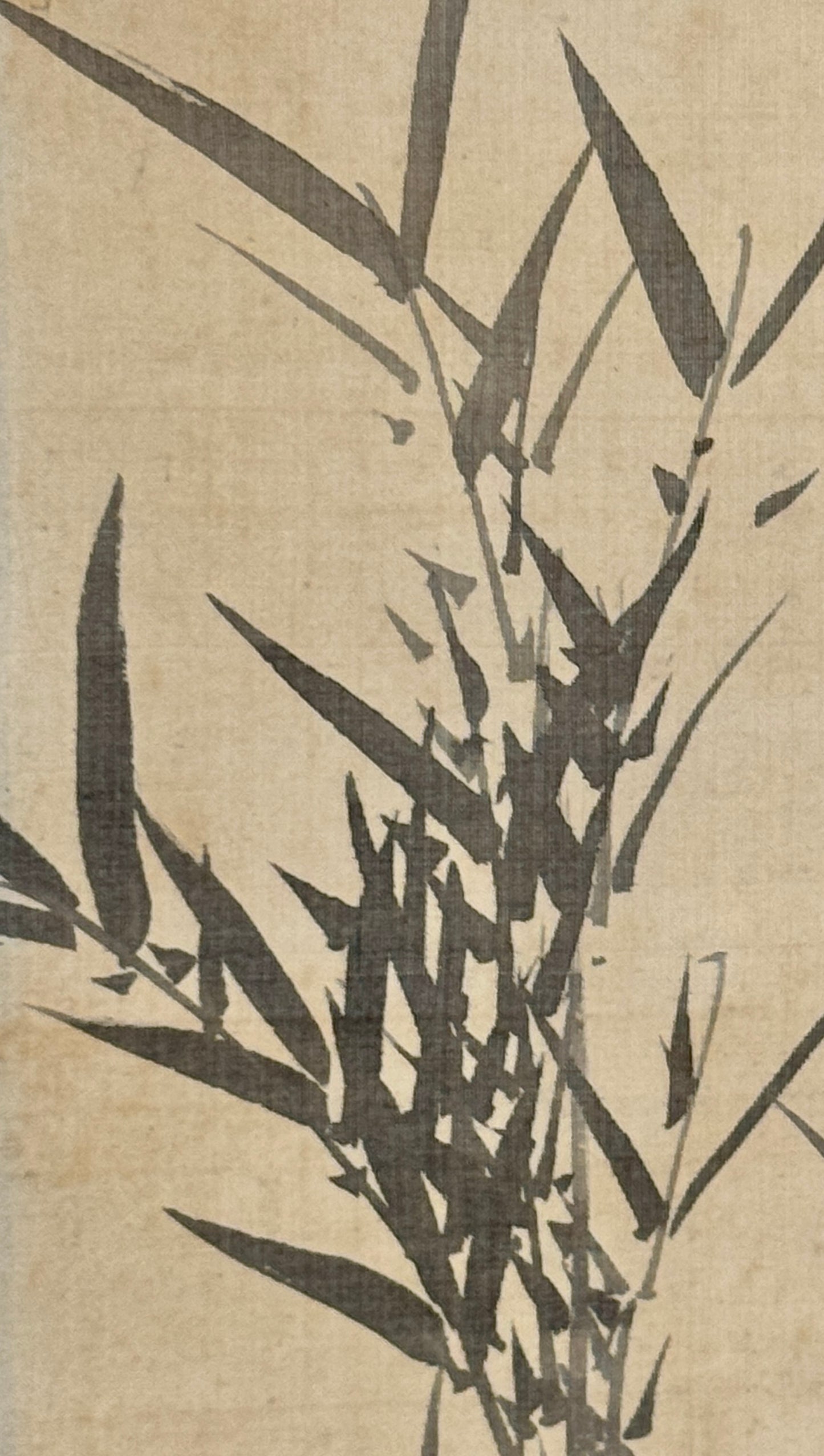 Bamboo | Yamamoto Baiitsu 山本梅逸 | 1783-1856