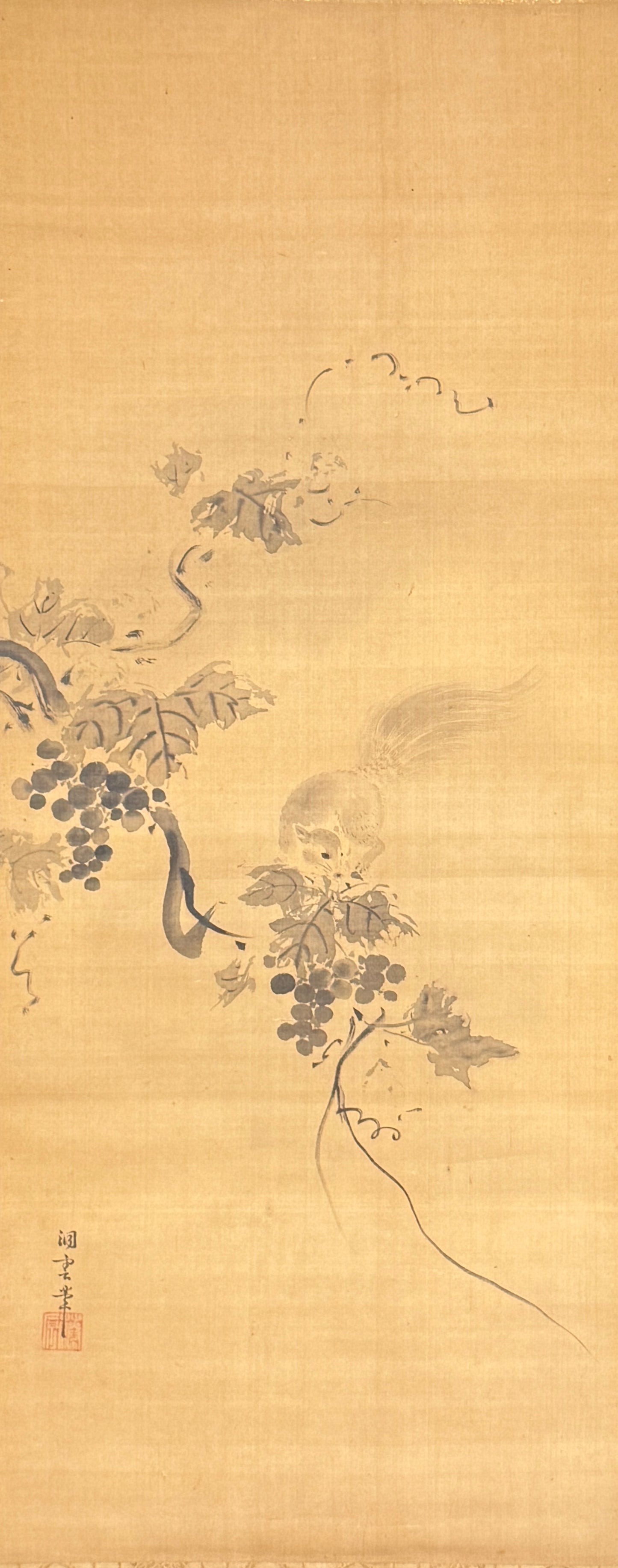 Grapes with Squirrel 葡萄と栗鼠 | Kanō Dōun (also Tōun) 狩野洞雲 | 1625-1694