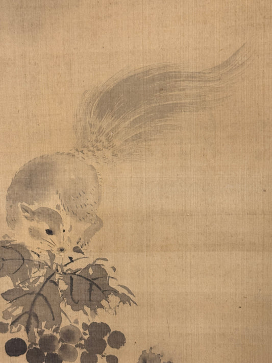 Grapes with Squirrel 葡萄と栗鼠 | Kanō Dōun (also Tōun) 狩野洞雲 | 1625-1694