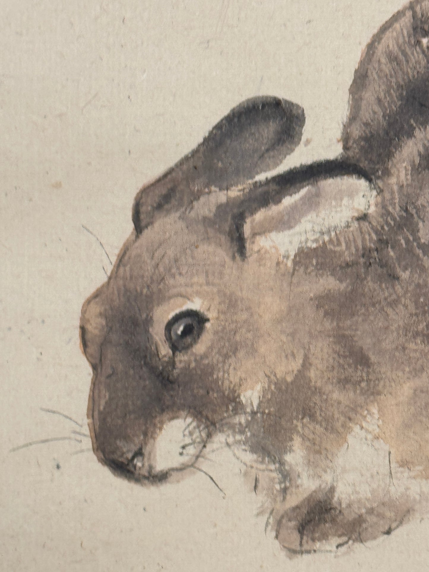 Hase im Herbstgras 秋草の兎 | Konoshima Ōkoku 木島桜谷 | 1877-1938