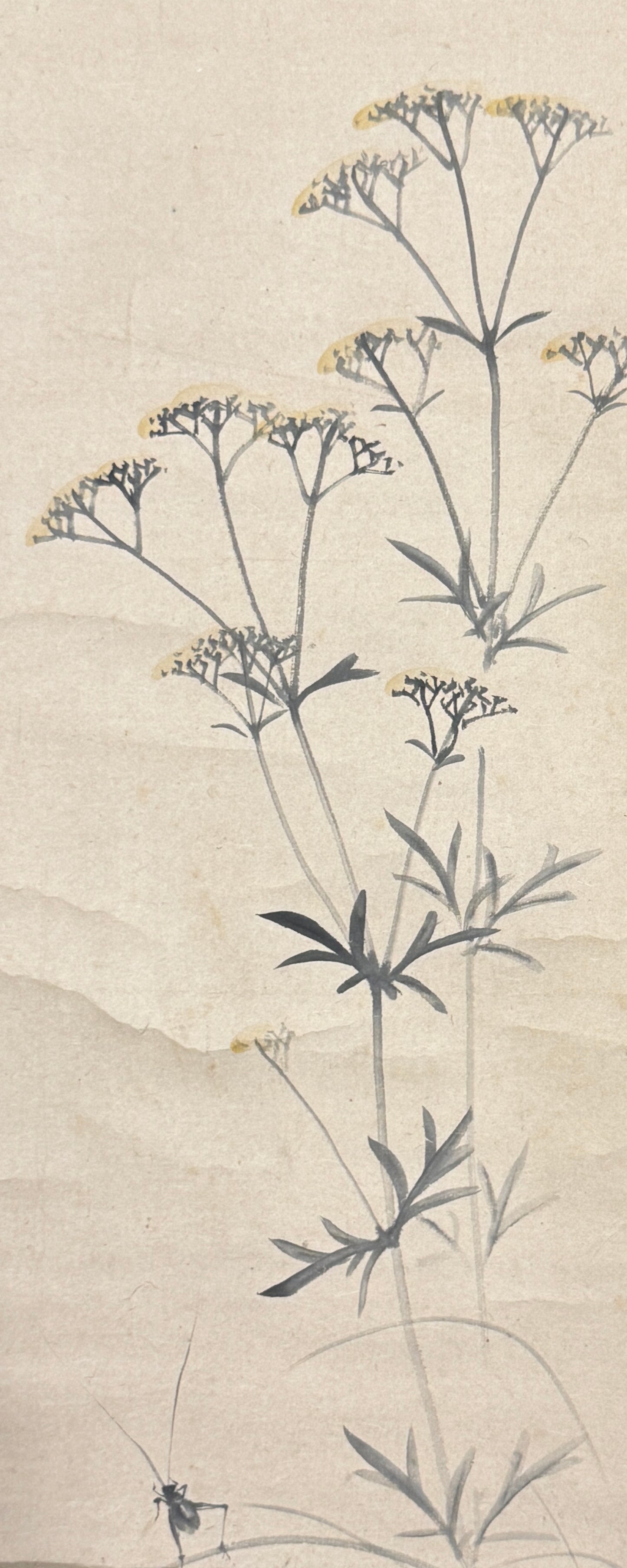 Zwölf Monatsbilder: 8. Das Augustbild  |  Yoshimura Kokei 吉村孝敬  |  1769-1836