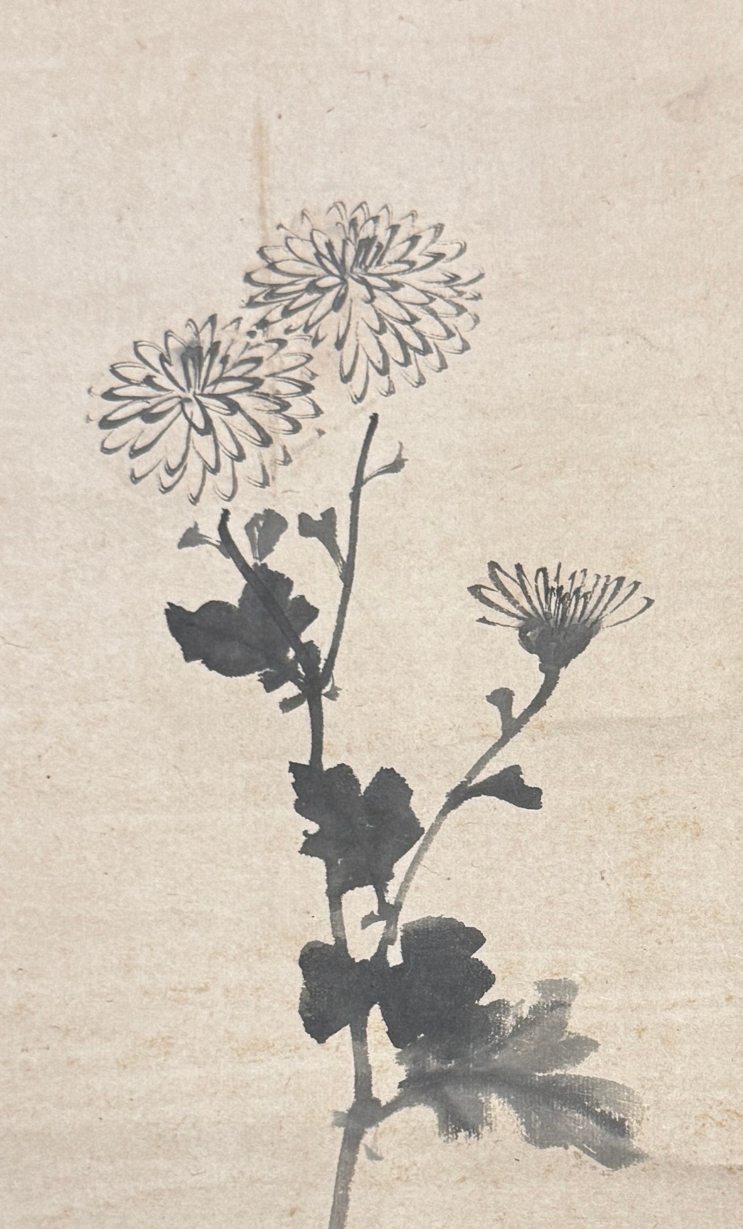 Zwölf Monatsbilder: 9. Das Septemberbild  |  Yoshimura Kokei 吉村孝敬  |  1769-1836