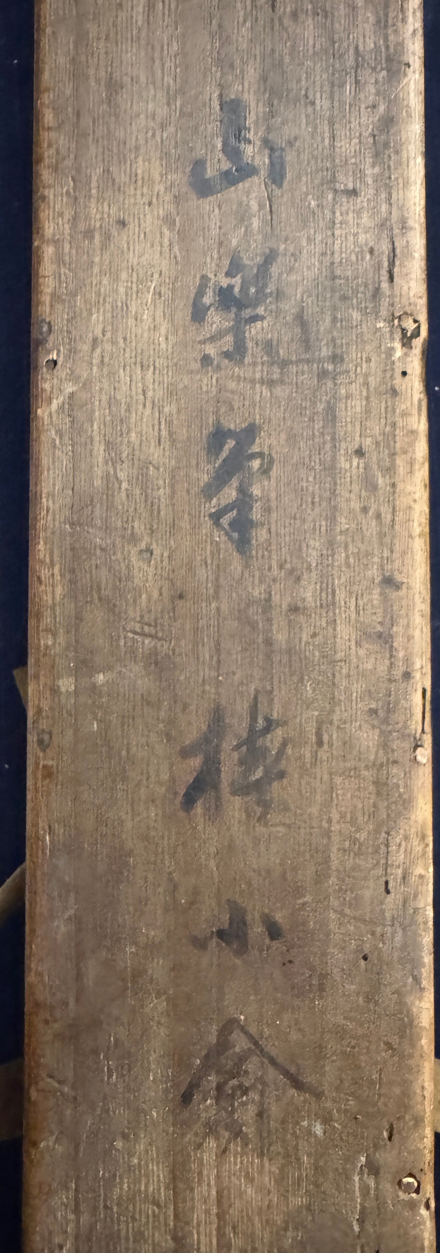 Vögel im Winter mit Kamelien | Kanō Sanraku (attr,) 狩野山楽（伝）| 1559-1635