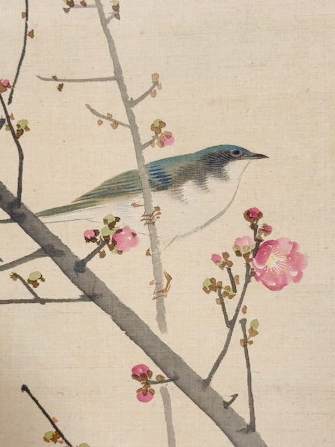 Morgensonne im Pflaumenbaum mit Nachtigall  | Nishiyama Hōen 西山芳園 | 1781-1867