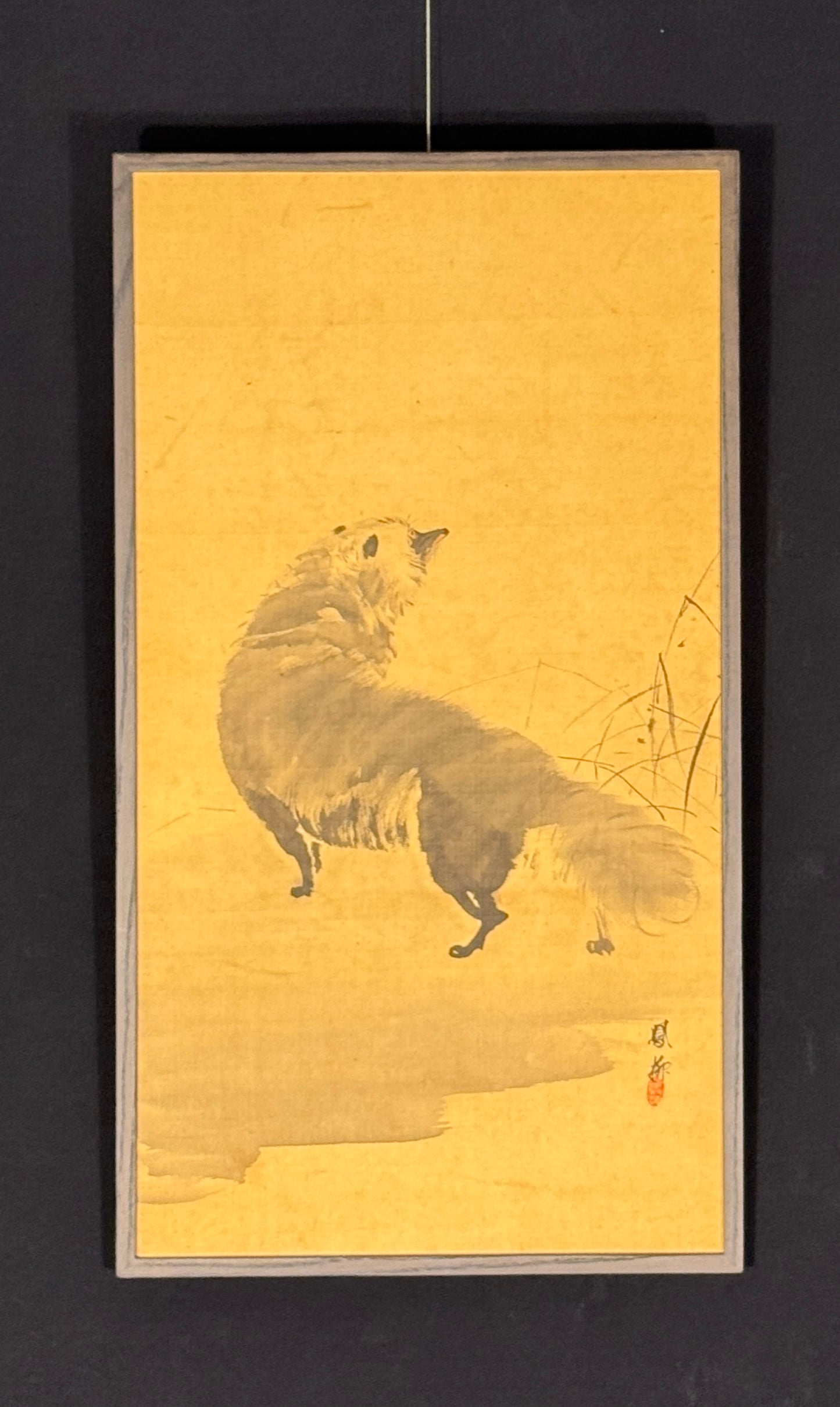Tanuki (Badger or Raccoon Dog) | Yoshimura Hōryū 吉村鳳柳 | 1874 - 1936