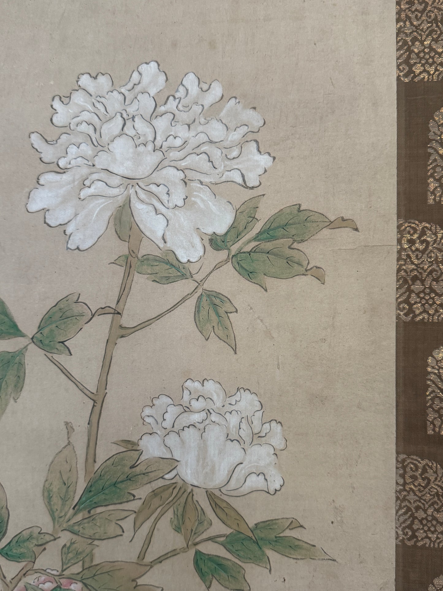 Peonies | Kanō Tan'yū 狩野探幽 | 1602-1674