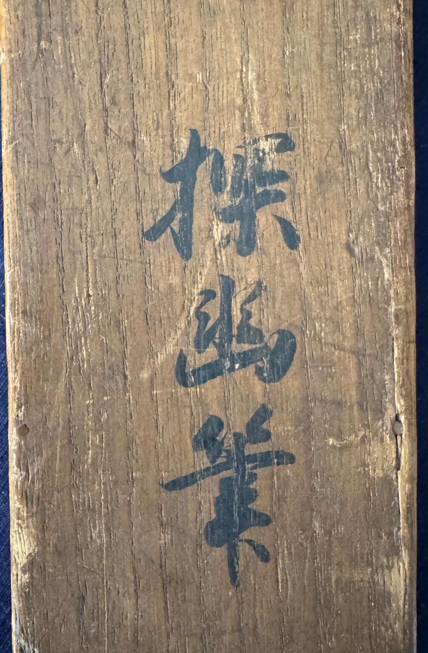 Peonies | Kanō Tan'yū 狩野探幽 | 1602-1674