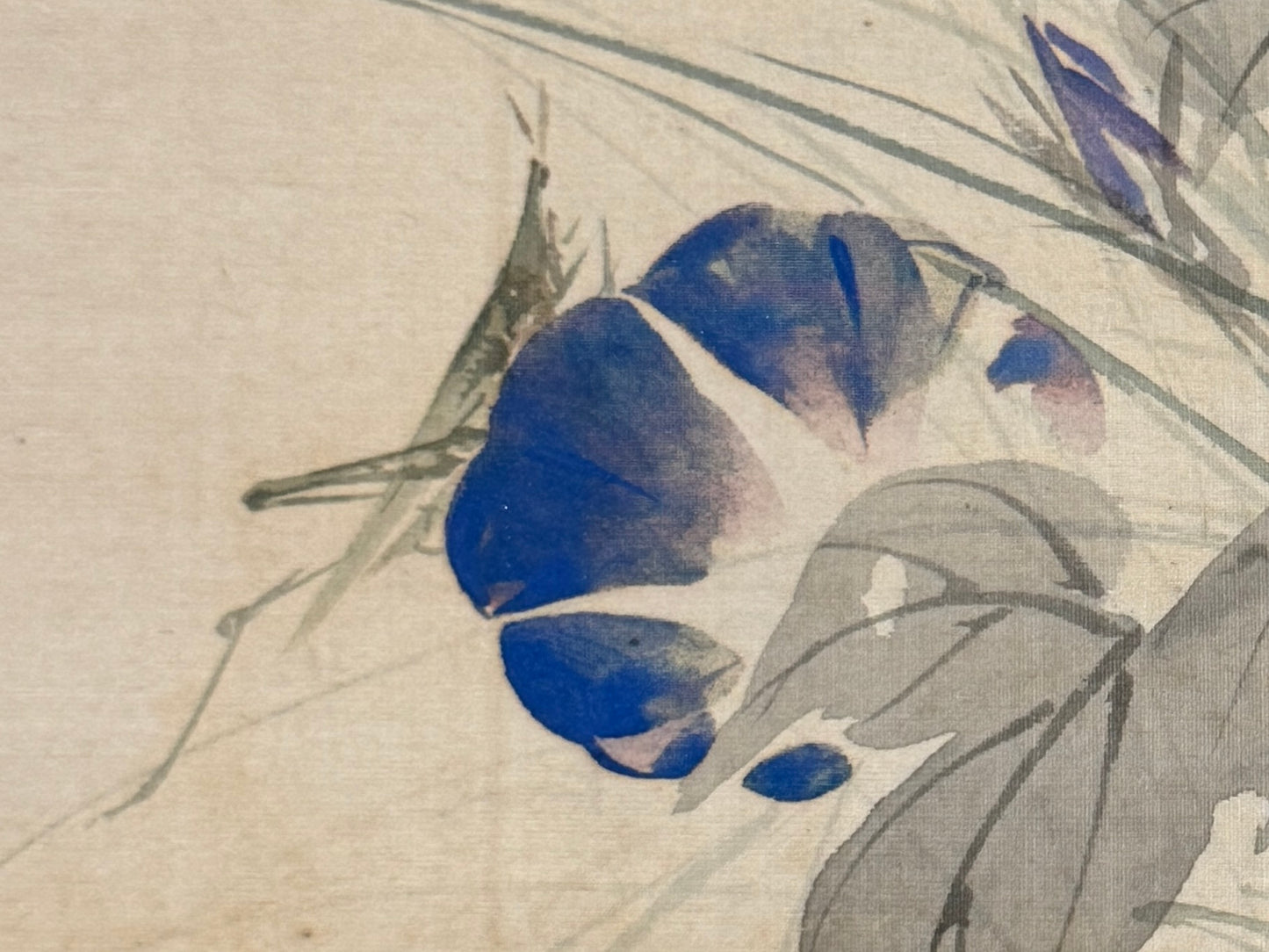 Blaue Winden | Kikuchi Hōbun  菊池芳文 | 1862-1918