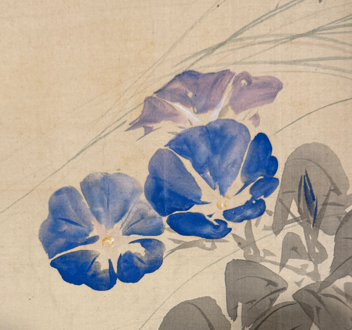 Blaue Winden | Kikuchi Hōbun  菊池芳文 | 1862-1918