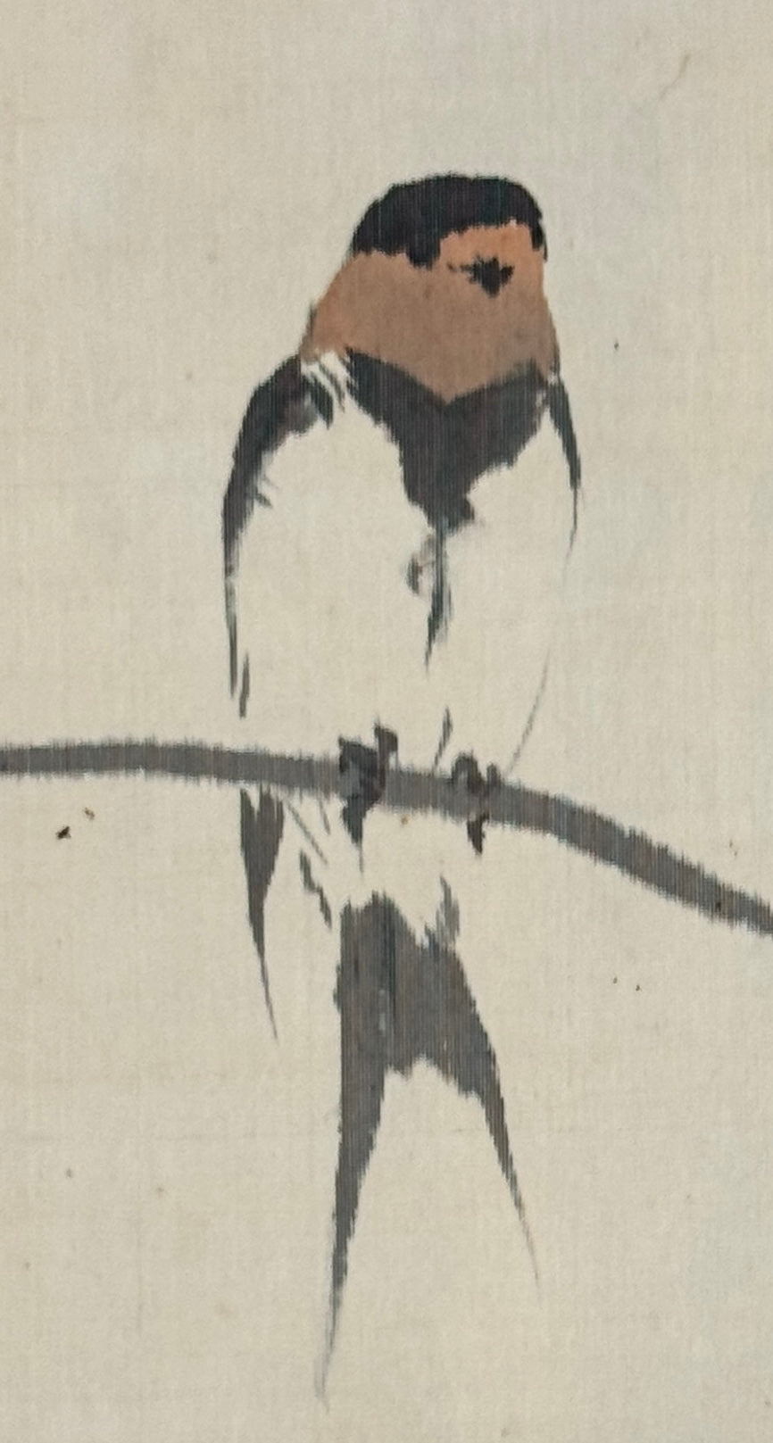 Schwalben auf Weide | Konoshima Ōkoku 木島桜谷 | 1877-1938