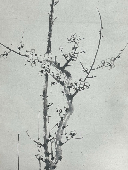 Plum blossom branches | Yamamoto Baiitsu's work | 1783-1858